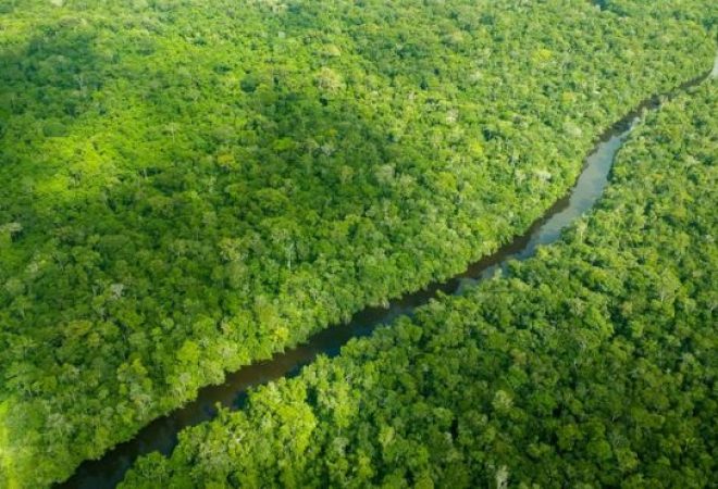 amazonia aerea legal free