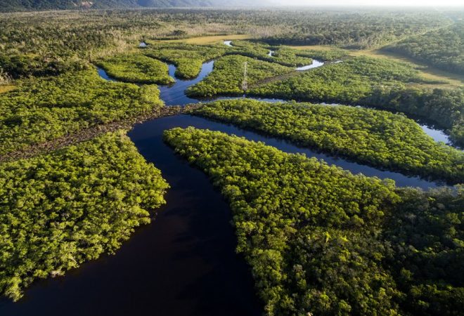 amazonia-ciclovivo