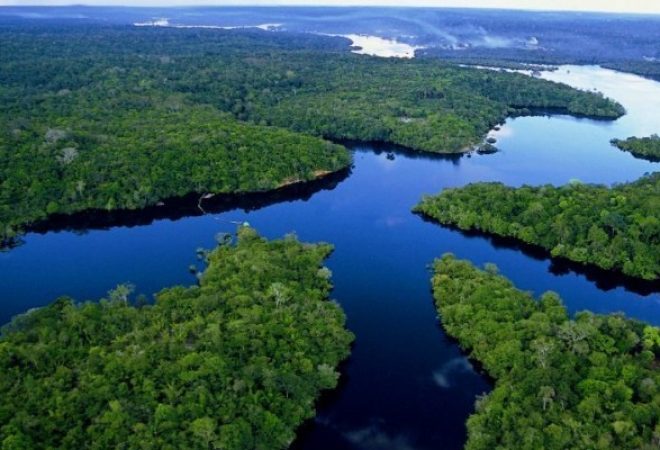 amazonia-floresta