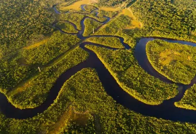 amazonia