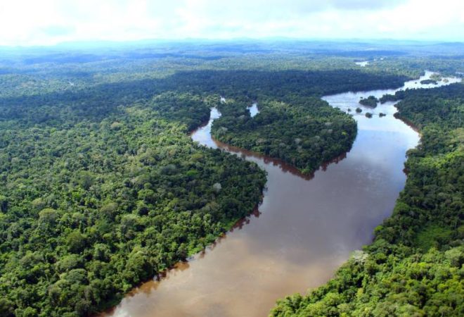 amazônia_pará