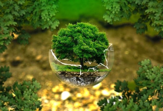 ambiente
