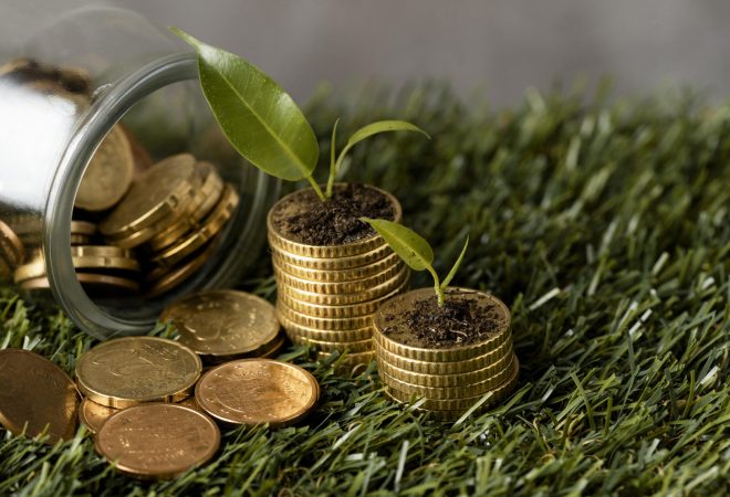 angulo-alto-de-duas-pilhas-de-moedas-na-grama-com-jarras-e-plantas