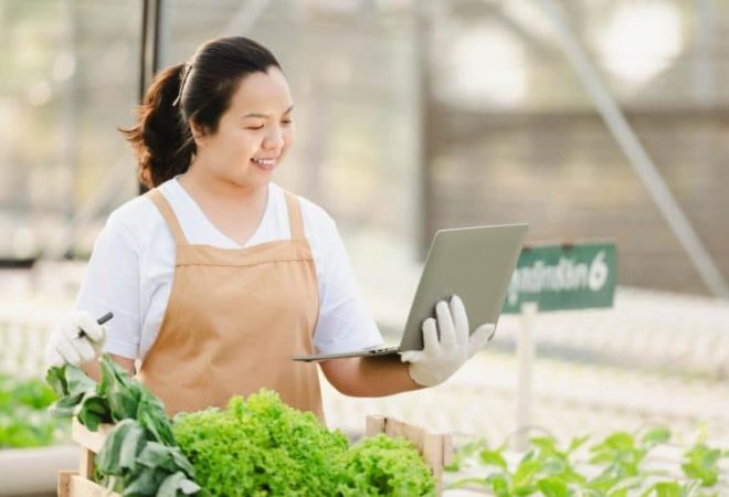 asian-farmer-woman-working-with-laptop-in-organic-vegetable-hydroponic-farm-hydroponic-salad-garden-owner-checking-quality-of-vegetable-in-greenhouse-plantation-768x511