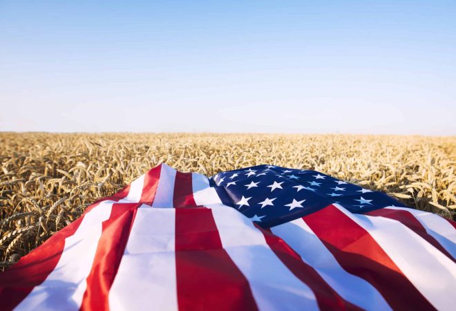 American flag in the wheat field representing strong agriculture, economy and freedom of the United States of America.