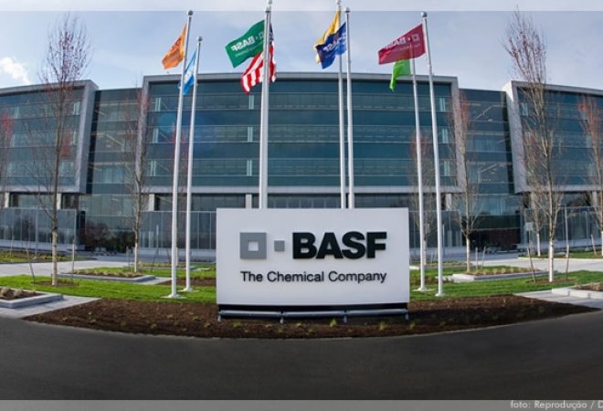 basf-empresa