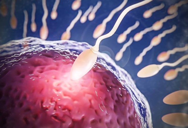 beautiful-fertility-concept-3d-rendering