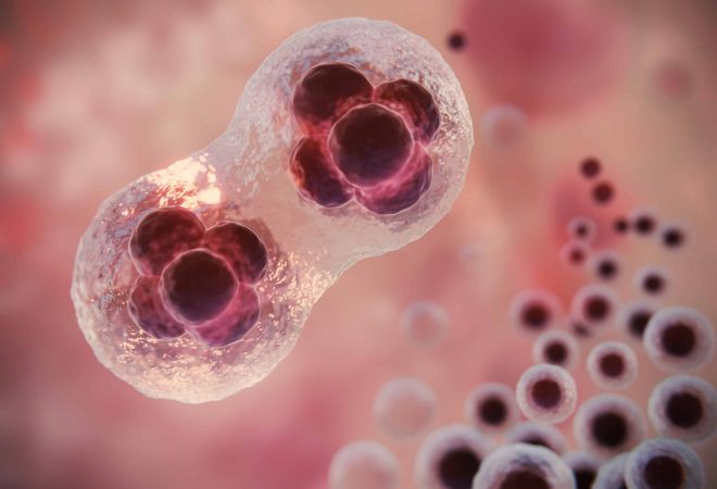 beautiful-fertility-concept-3d-rendering