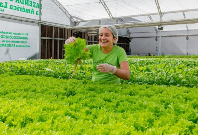 begreen localidades___d450e51b98a829a9f22809019219b859