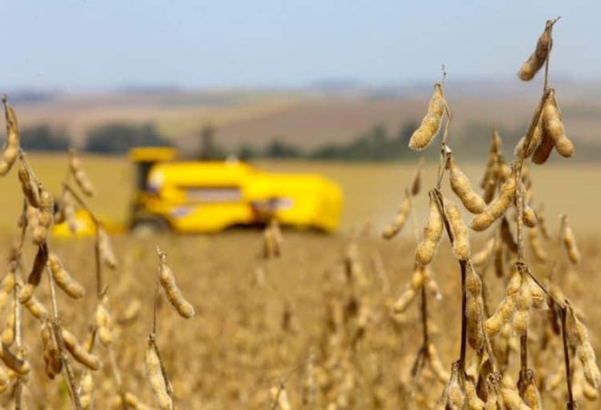 bioinsumos produção agricola