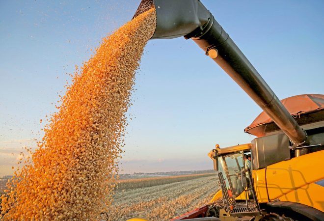 1751545 - Colheita de milho safrinha avança no Parana com expectativas dos produtores de uma super safra. Na foto, colheita de milho safrinha em propriedade rural em Campo Mourao. 22/06/2019
Credito: Dirceu Portugal/Fotoarena