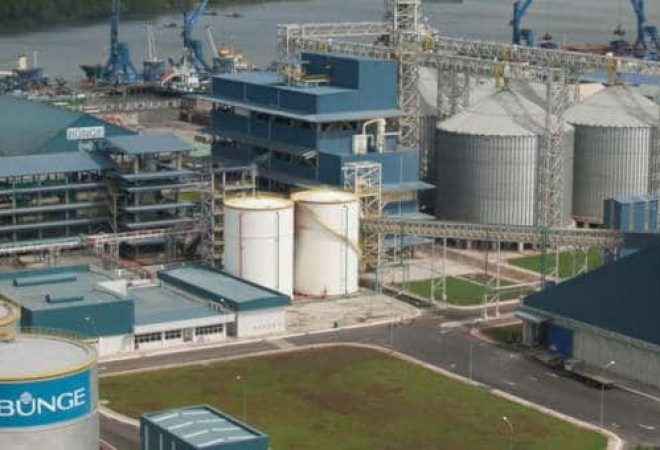 bunge