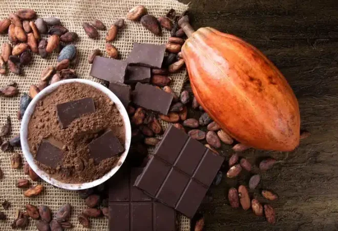 cacau-chocolate