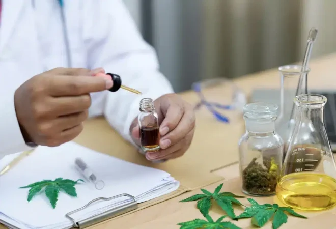 cannabis medicinal
