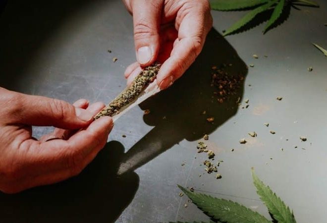 cannabis