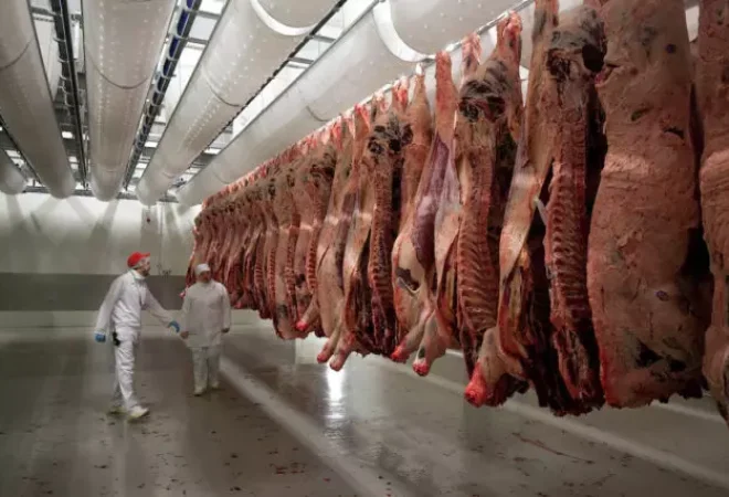 carcacas-bovinas-no-frigorifico-640x426