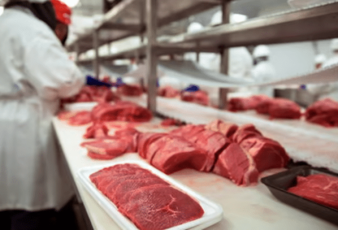carne bovina