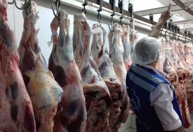 carne frigorifico