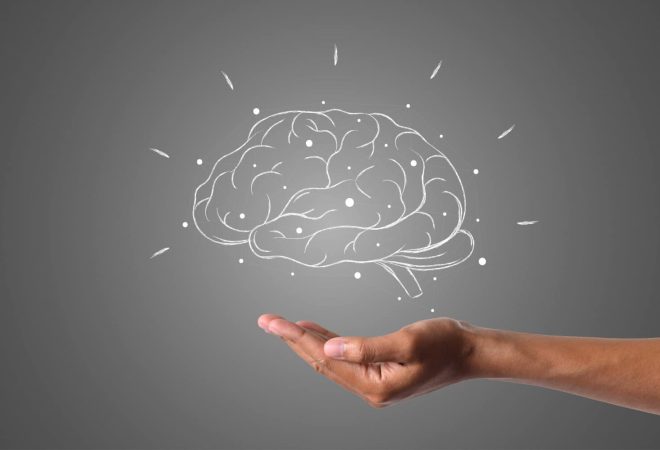 cerebro2-foto-freepik