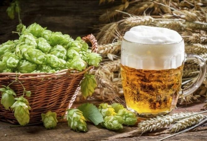 cerveja-e-lupulo
