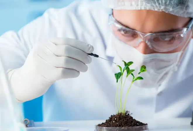 cientista-manipulando-planta-biotecnologia