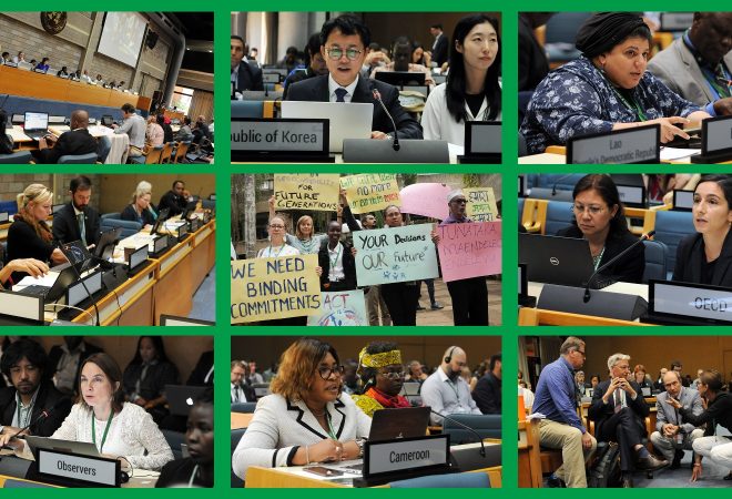 cop15