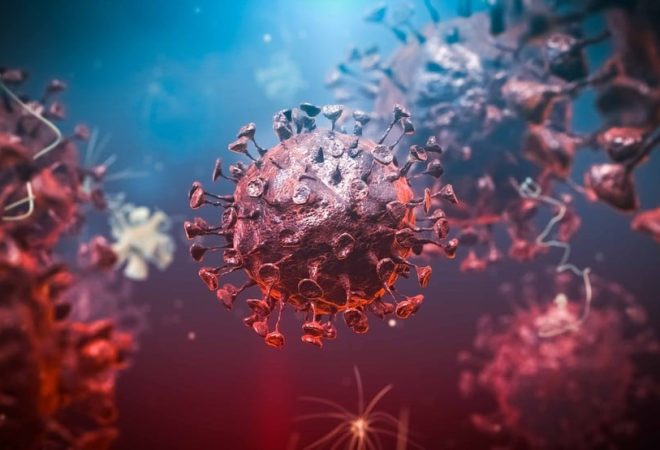 coronavirus-covid-19
