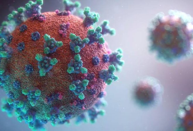 coronavirus-fusion-medical-animation-unsplash