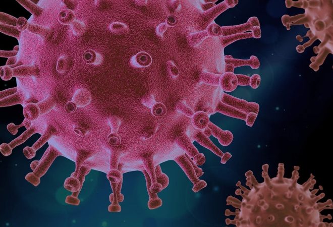 coronavirus virus-4937553_1920mz