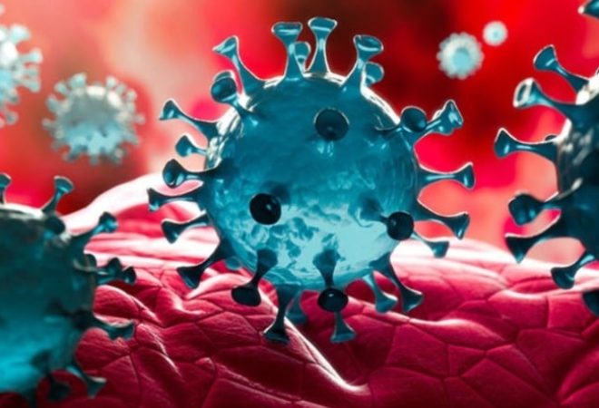 coronavirus_covid_790x444_02052021102001