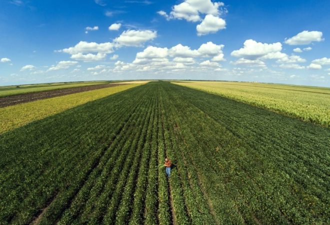 credito-rural-Plano-Safra