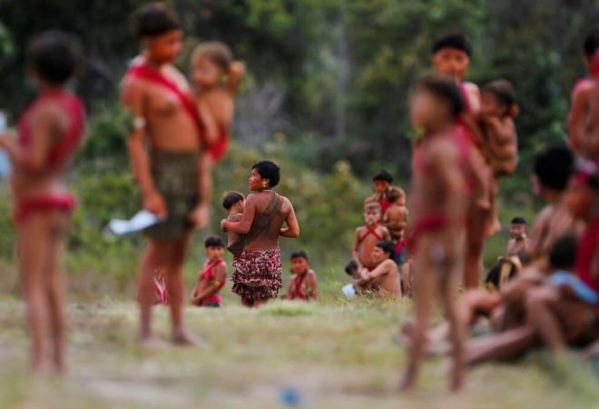 crise yanomami