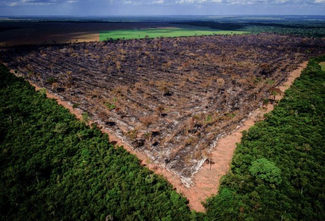 Brasília (13/06/2018) – O Ibama e a Secretaria de Estado de Meio Ambiente (Sema) de Mato Grosso, com apoio do Centro Integrado de Operações Aéreas (Ciopaer-MT) e da Força Nacional, iniciaram nesta terça-feira (12/06) operação conjunta para coibir o desmatamento ilegal da Amazônia. Na primeira ação, agentes ambientais flagraram o corte raso de 160 hectares em área de Reserva Legal em Tapurah (MT) por correntão, técnica que usa dois tratores e uma corrente com elos grossos para derrubar a vegetação nativa.Na base utilizada pelos infratores foram apreendidos um caminhão, uma pá carregadeira, uma moto, uma camionete, motosserras e documentos que evidenciam a saída da madeira, além de fichas de funcionários e comprovantes de transações bancárias. A Sema estima que a ação evitou o desmatamento de outros 800 hectares.