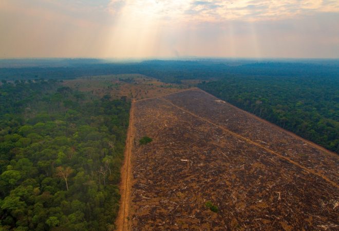 amazonia desmatamento