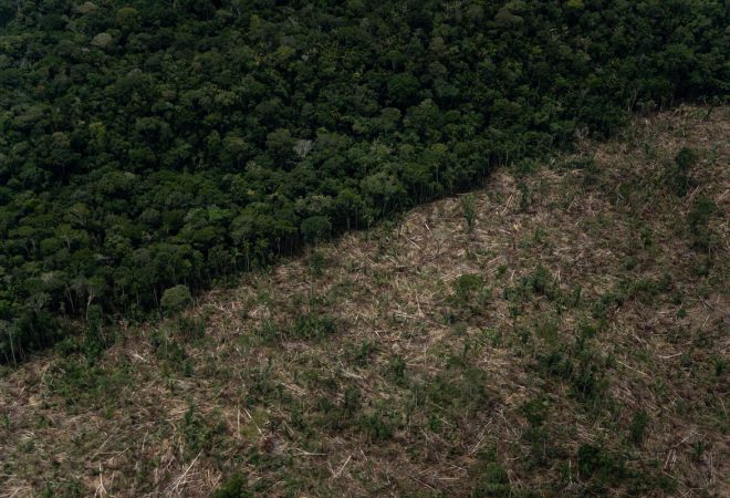 desmatamento-amazonia-3