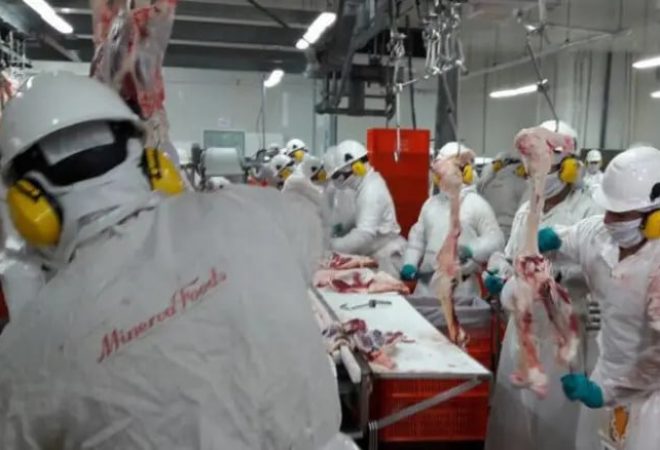 minerva foods