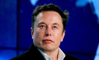elon musk