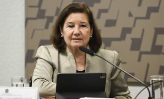 A embaixadora Maria Luiza Viotti. Foto: Jefferson Rudy/Agência Senado