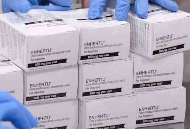 enhertu3