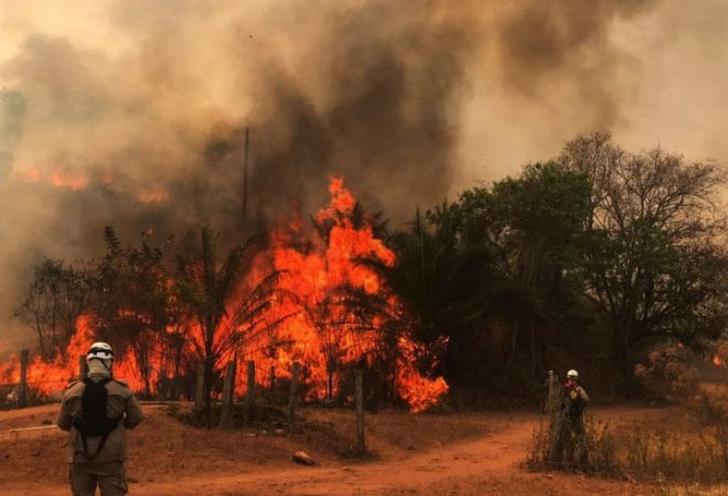 Água Limpa de Goiás 21 09 2019 Equipes do CBMGO trabalham no combate a um incêndio em vegetação no Parque Estadual da Mata Atlântica (PEMA), zona rural de Água Limpa de Goiás. O fogo se iniciou em pastagens de fazendas da região, e por conta da baixa umidade do ar e clima seco deste período de estiagem as chamas se alastraram com rapidez para as áreas de reserva do parque. Equipes do 9º Batalhão Bombeiro Militar em Caldas Novas iniciaram os trabalhos por volta das 8h30 da manhã, 10 bombeiros e 3 viaturas foram empenhas na ação. Nas proximidades do parque foi utilizado um Drone para reconhecimento da área e estabelecimento de táticas e técnicas de atuação. O combate foi feito com o uso de jatos d’água, abafadores, sopradores, ferramentas de sapa e técnicas de combate diretas e indiretas. Nossas equipes orientaram os produtores da região a usarem máquinas para construírem aceiros emergenciais e linhas frias (técnica de molhar a vegetação que ainda não se queimou para que essa não se incendeie).  O combate terminou por volta das 21h30, foram 13h de intensivo trabalho até a extinção das chamas. Da área total de 100.673.328M² foram queimados 683.800 M² e 9.383.528 M² foram protegidos pela ação dos bombeiros e dos voluntários. foto CBMG