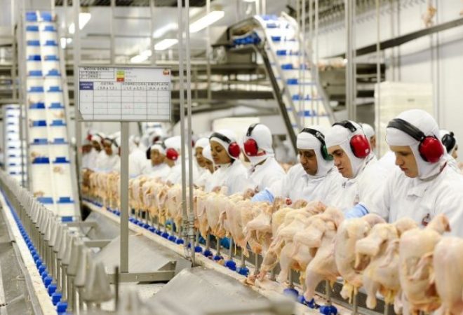 exportações-de-frango