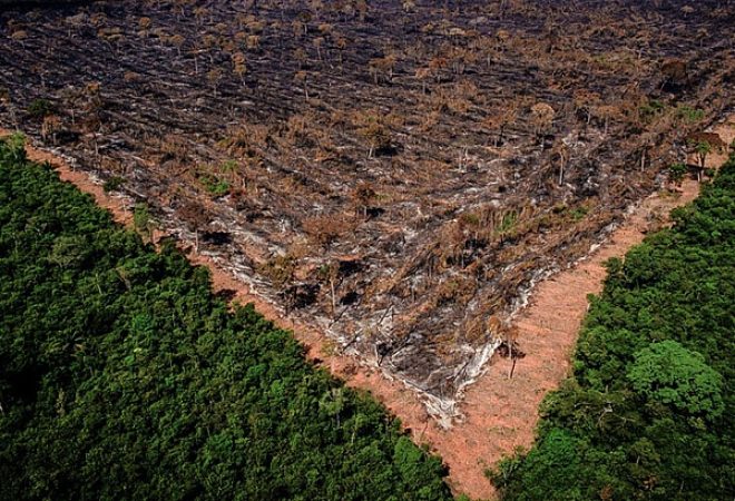 Brasília (13/06/2018) – O Ibama e a Secretaria de Estado de Meio Ambiente (Sema) de Mato Grosso, com apoio do Centro Integrado de Operações Aéreas (Ciopaer-MT) e da Força Nacional, iniciaram nesta terça-feira (12/06) operação conjunta para coibir o desmatamento ilegal da Amazônia. Na primeira ação, agentes ambientais flagraram o corte raso de 160 hectares em área de Reserva Legal em Tapurah (MT) por correntão, técnica que usa dois tratores e uma corrente com elos grossos para derrubar a vegetação nativa.Na base utilizada pelos infratores foram apreendidos um caminhão, uma pá carregadeira, uma moto, uma camionete, motosserras e documentos que evidenciam a saída da madeira, além de fichas de funcionários e comprovantes de transações bancárias. A Sema estima que a ação evitou o desmatamento de outros 800 hectares.Foto: Mayke Toscano/Gcom-MT