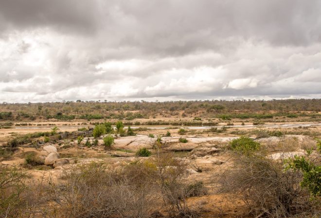 A wide angle shot of a field with bushes and plants under a cloudy sky