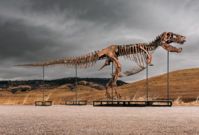 Foto: Matthew Sherman/Sotheby’s