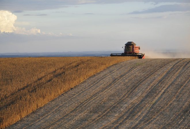 harvest-1543064_1280