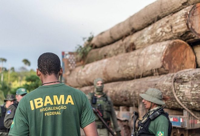 Ibama