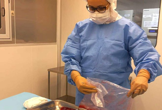 Rio de Janeiro (RJ) - Curativo biológico à base de placenta, desenvolvido pelo Instituto Nacional de Traumatologia e Ortopedia-INTO. Foto: INTO/Divulgação