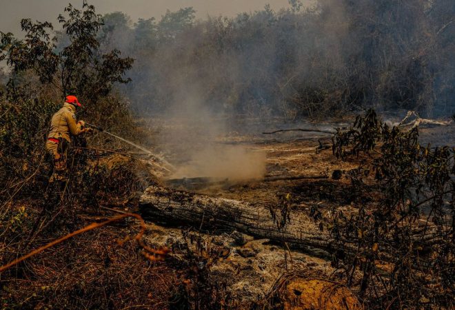 incendio pantanal