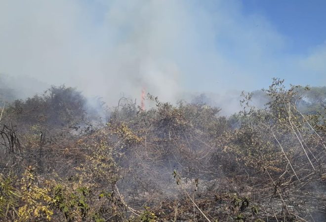 incendio_pantanal