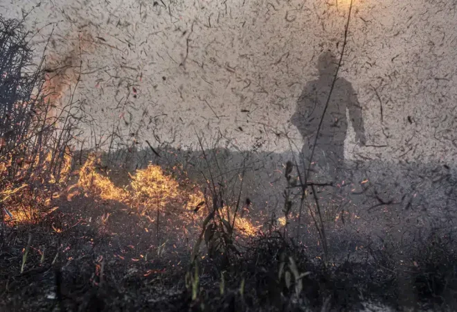 incendios ibama agencia brasil